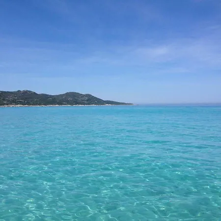 Morl315 - T2 Neuf Vue Mer St Florent Appartement *